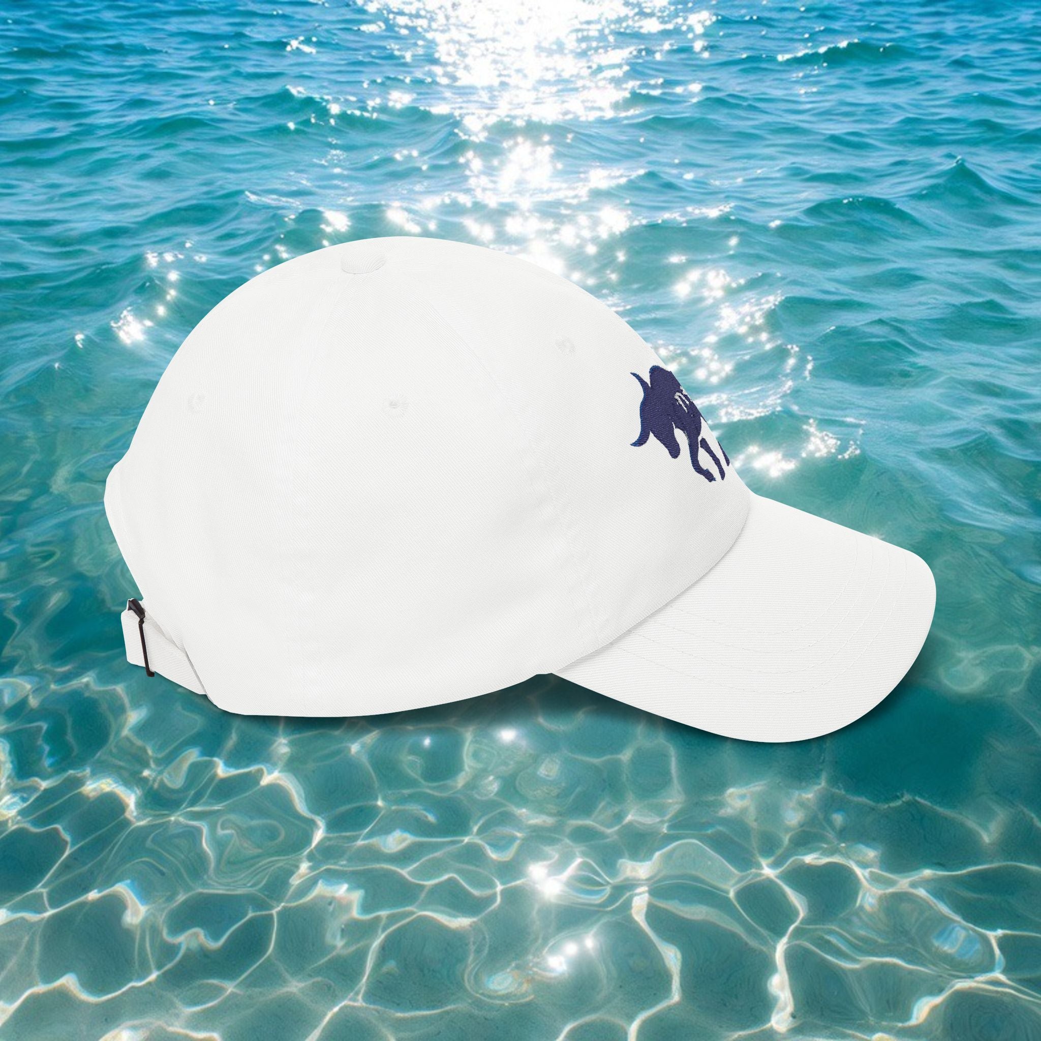 Classy TYR1 cap